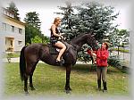Q6250087_th.jpg 6.4K