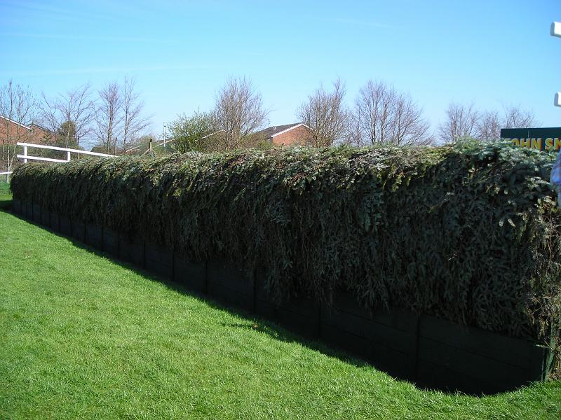 DSCN5442.JPG