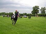 P5140054_th.jpg 4.6K