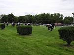 P5140061_th.jpg 4.3K