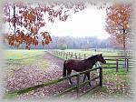 100_3794_th.jpg 6,4K