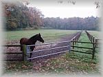PA270023_th.jpg 5,3K