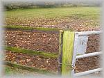 PA270024_th.jpg 5,5K