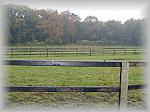 PA270026_th.jpg 4,6K