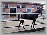 PA270036_th.jpg 5,6K