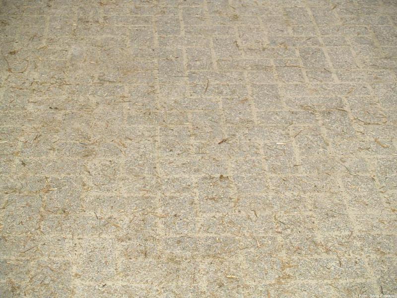PA270037.jpg 107,7K