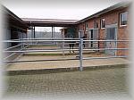 PA270038_th.jpg 4,7K