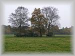 PA270041_th.jpg 4,6K