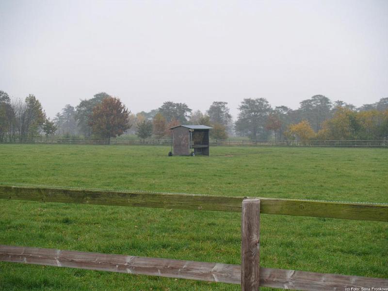 PA270048.jpg 56,6K