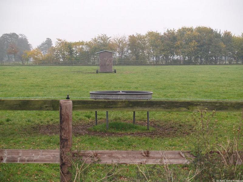 PA270049.jpg 81,8K