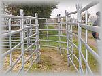 PA270050_th.jpg 6,0K