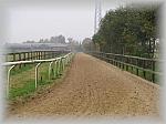 PA270051_th.jpg 4,2K