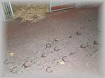 PA270056_th.jpg 3,7K