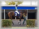 PA280078_th.jpg 5,8K