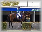 PA280079_th.jpg 5,7K