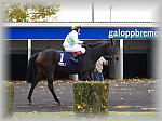 PA280080_th.jpg 5,6K