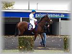PA280087_th.jpg 5,4K