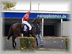 PA280088_th.jpg 5,5K