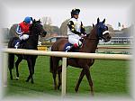 PA280108_th.jpg 5,3K