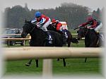 PA280119_th.jpg 4,5K