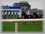 PA280120_th.jpg 5,0K