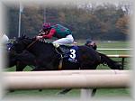 PA280124_th.jpg 4,4K