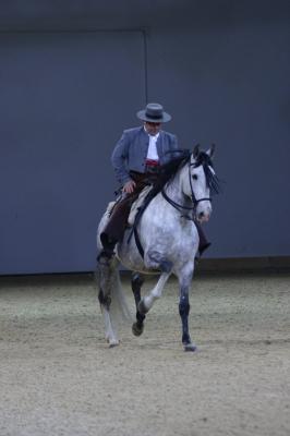 CRW_8837.jpg 11.1K