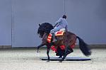CRW_8860_th.jpg 3.2K