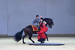 CRW_8861_th.jpg 3.2K
