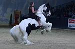 CRW_8914_th.jpg 4.2K