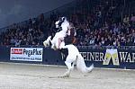 CRW_8916_th.jpg 5.0K