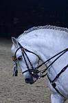 CRW_9013_th.jpg 4.1K