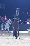 CRW_9093_th.jpg 3.8K