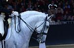 CRW_9105_th.jpg 4.7K