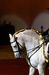CRW_9142_th.jpg 4.2K