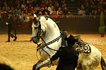 CRW_9154_th.jpg 5.6K