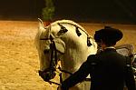 CRW_9155_th.jpg 4.5K