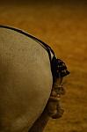 CRW_9158_th.jpg 2.9K