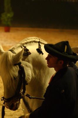 CRW_9160.jpg 12.8K