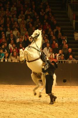 CRW_9163.jpg 20.1K