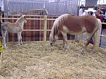 P3040003_th.jpg 6.1K