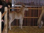 P3040004_th.jpg 4.9K