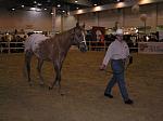 P3040009_th.jpg 4.1K