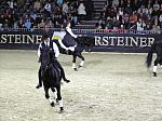 P3040036_th.jpg 6.2K