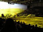 P3040040_th.jpg 4.5K