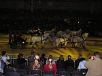 P3040042_th.jpg 4.5K