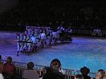 P3040044_th.jpg 4.1K
