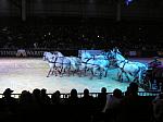 P3040047_th.jpg 4.5K