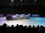 P3040054_th.jpg 4.3K