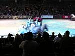 P3040060_th.jpg 4.5K